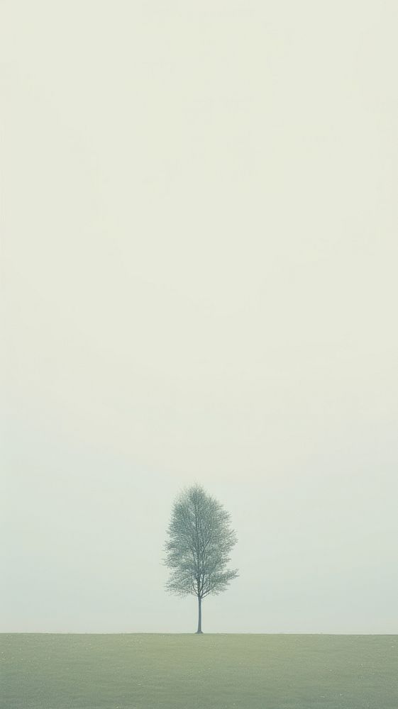 Forest outdoors horizon nature. AI generated Image by rawpixel.