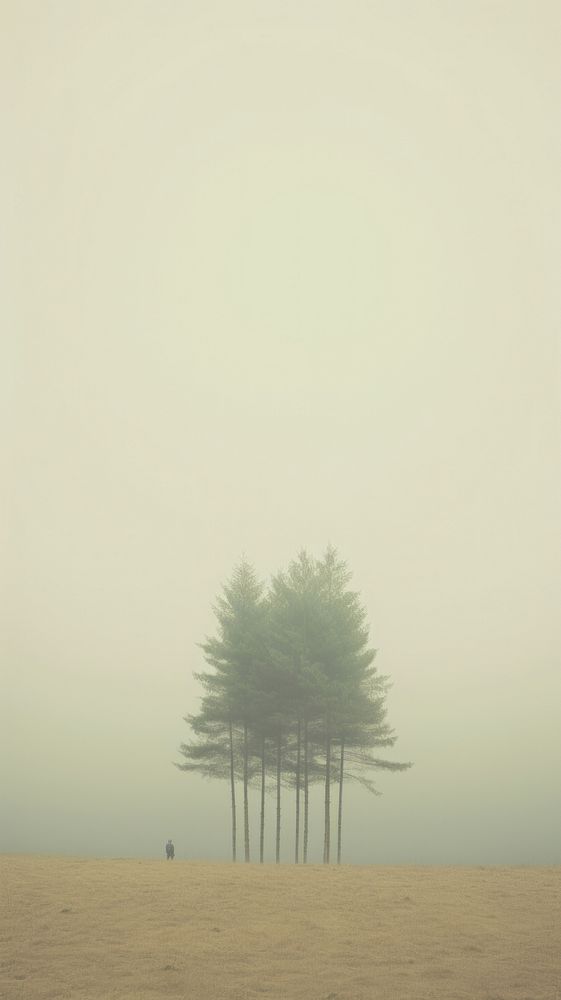Forest outdoors nature plant. AI generated Image by rawpixel.