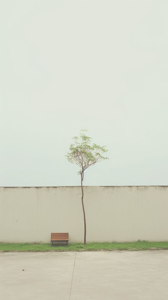 Garden architecture plant tree. AI generated Image by rawpixel.