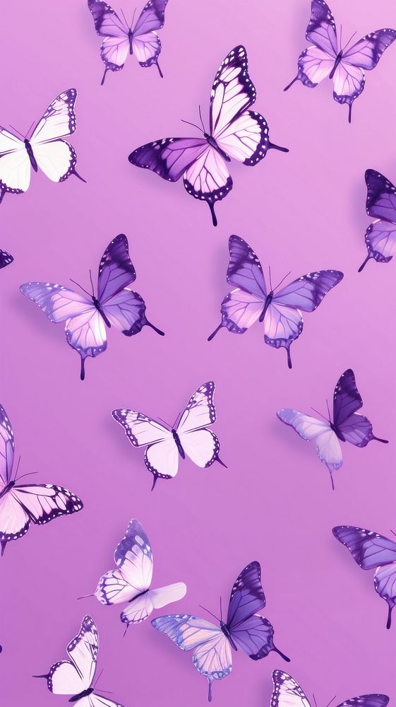 Butterflies purple backgrounds butterfly.