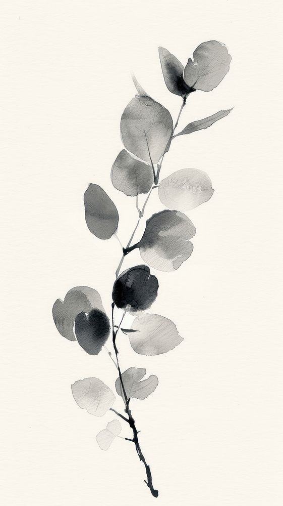 Ink painting minimal of eucalyptus drawing flower sketch.