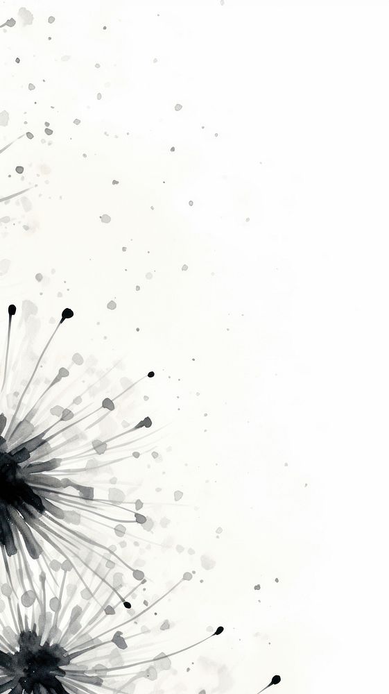 Ink painting minimal of fireworks backgrounds dandelion white.