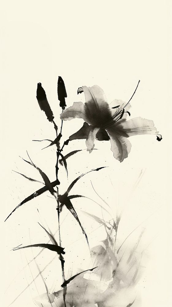 Ink painting minimal of lily flower plant petal.