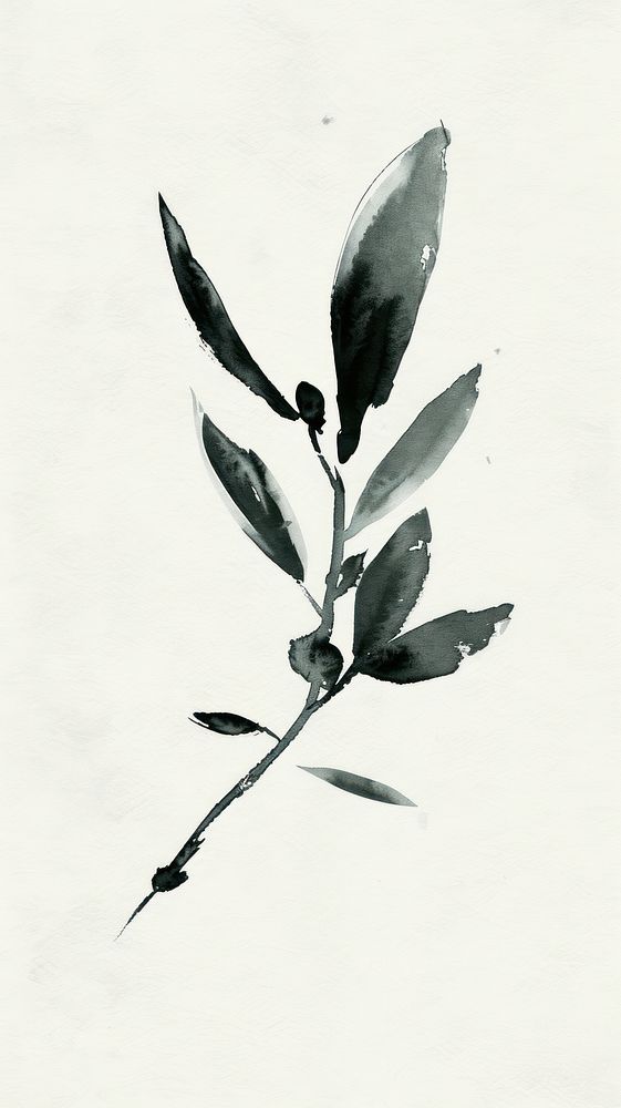 Ink painting minimal of olive drawing sketch plant.