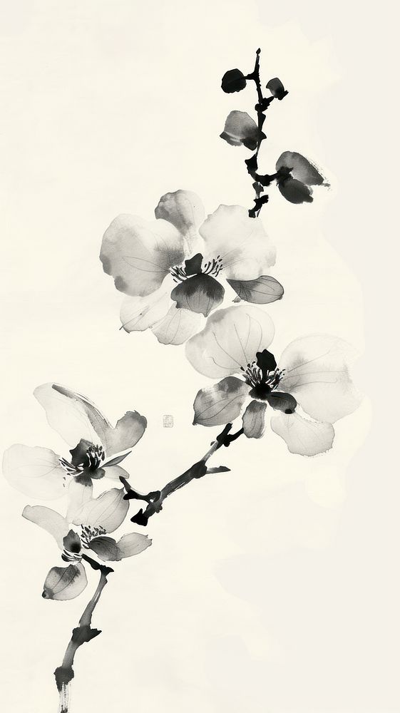 Ink painting minimal of orchid blossom flower plant.