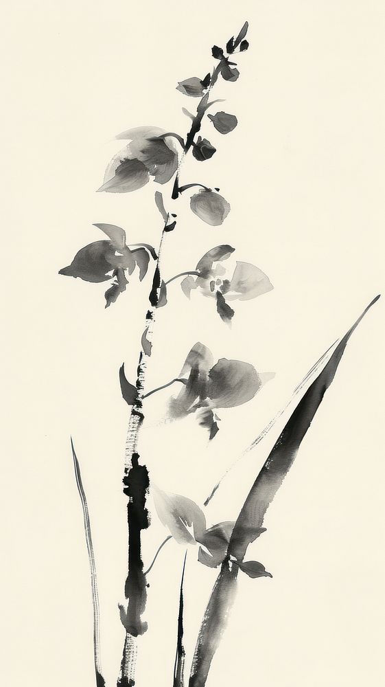Ink painting minimal of orchid flower plant white.