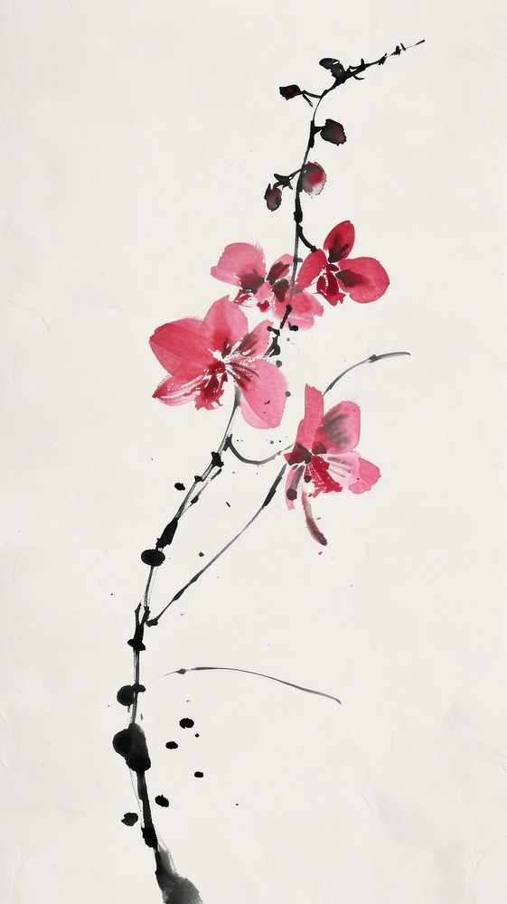 Ink painting minimal of orchid outdoors blossom flower.