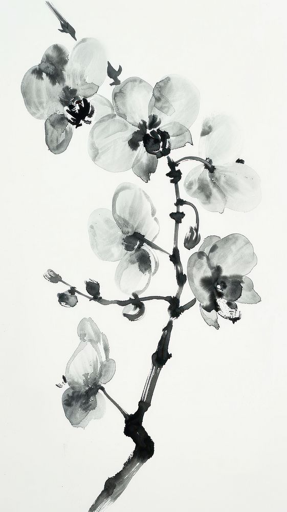 Ink painting minimal of orchid blossom flower nature.