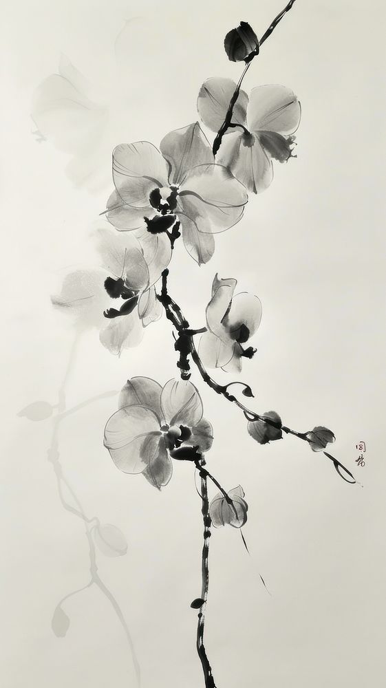 Ink painting minimal of orchid nature flower plant.