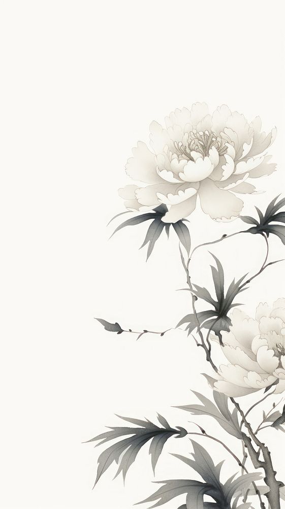 Ink painting minimal of peony backgrounds pattern drawing.