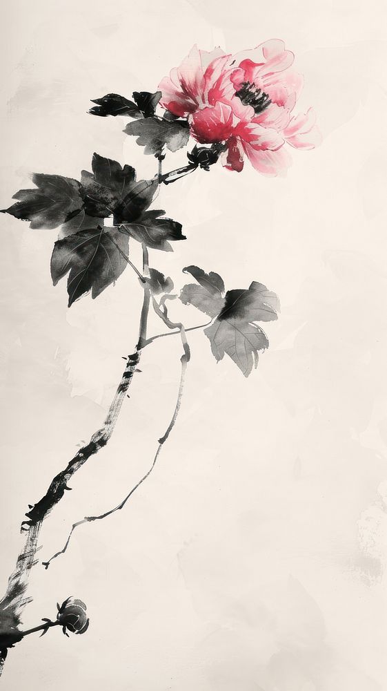 Ink painting minimal of peony blossom flower petal.