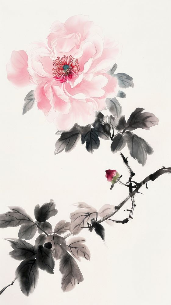 Ink painting minimal of peony blossom flower plant.