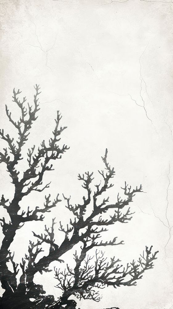 Ink painting minimal of sea coral backgrounds silhouette drawing.