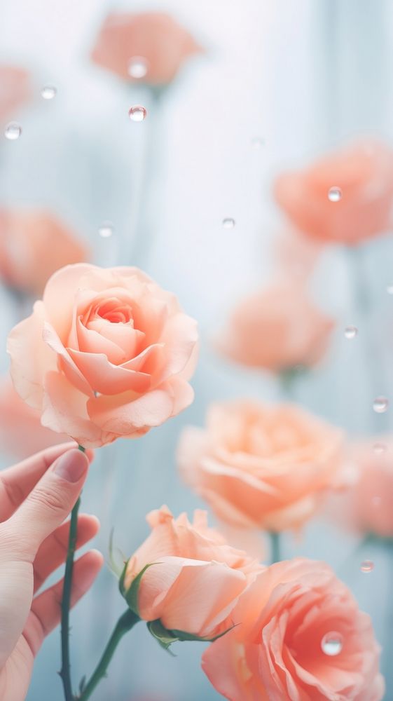  Blurred roses flower petal plant. AI generated Image by rawpixel.
