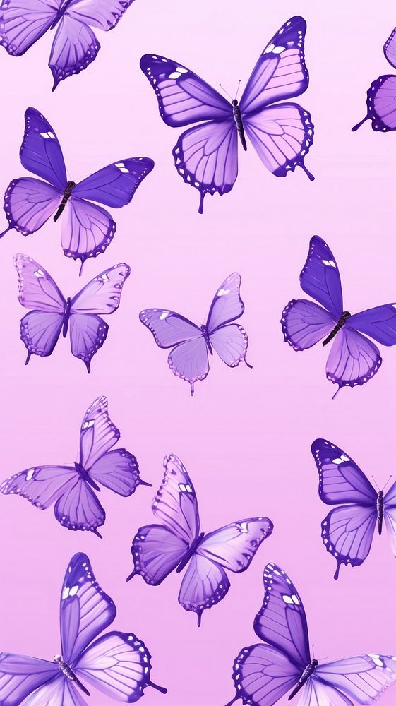 Butterflies purple backgrounds butterfly.
