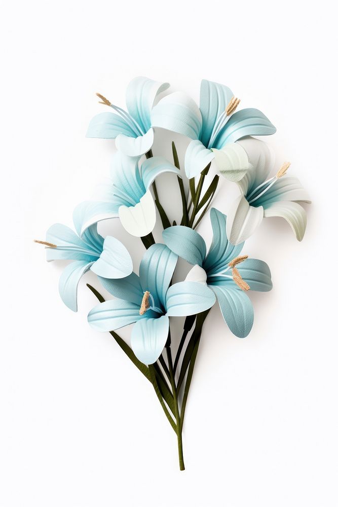 Exotic blue flower plant white lily.