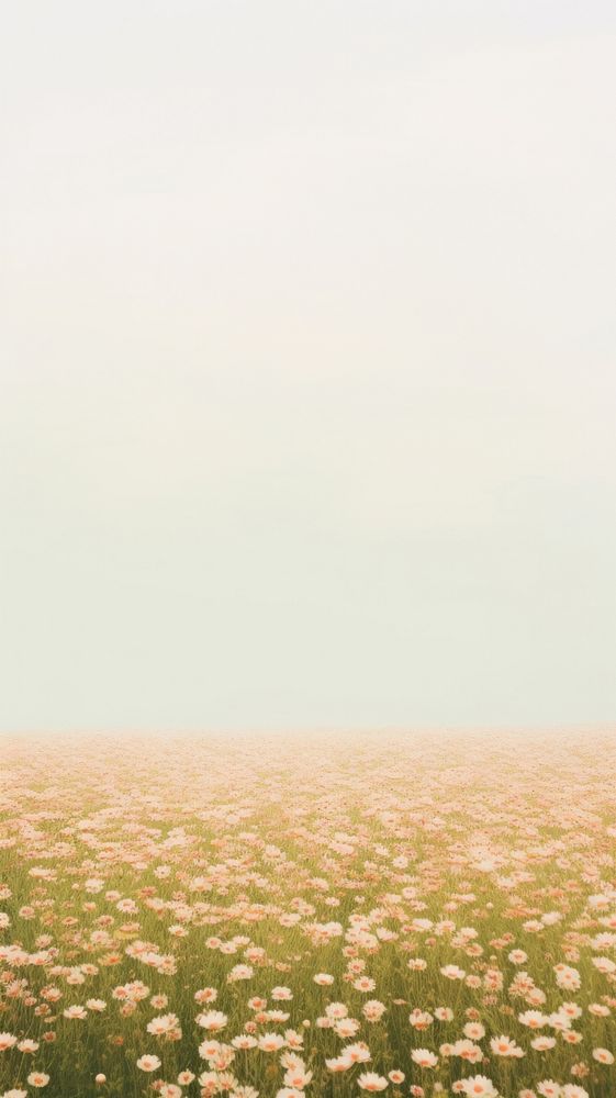  Flowers field outdoors horizon nature. AI generated Image by rawpixel.