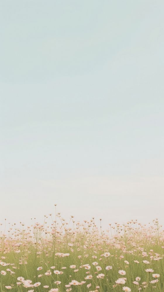  Flowers field grassland outdoors horizon. AI generated Image by rawpixel.