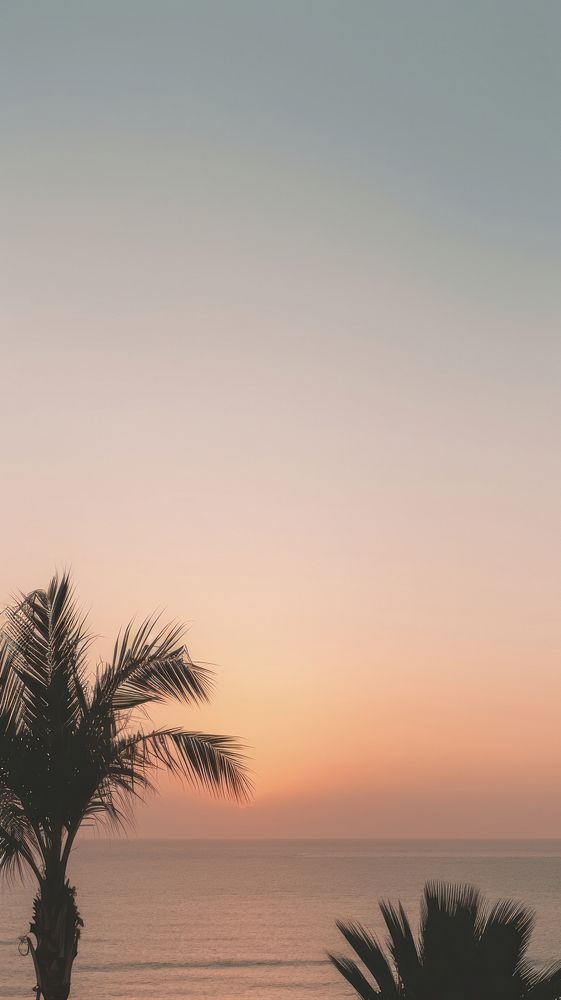  Palm trees outdoors horizon nature. AI generated Image by rawpixel.
