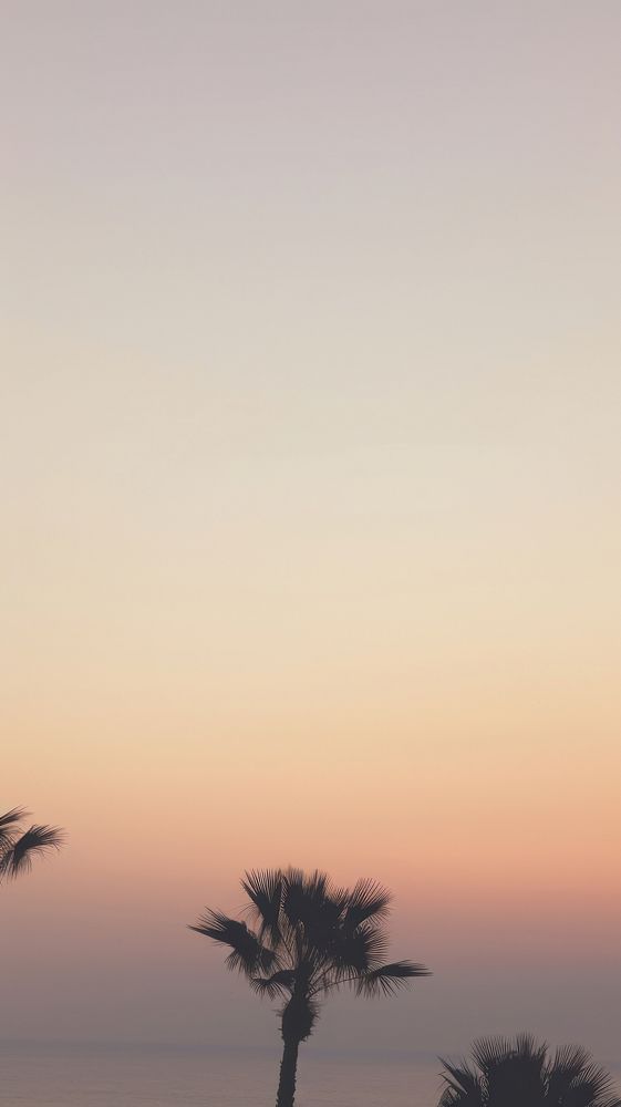  Palm trees outdoors horizon sunrise. AI generated Image by rawpixel.