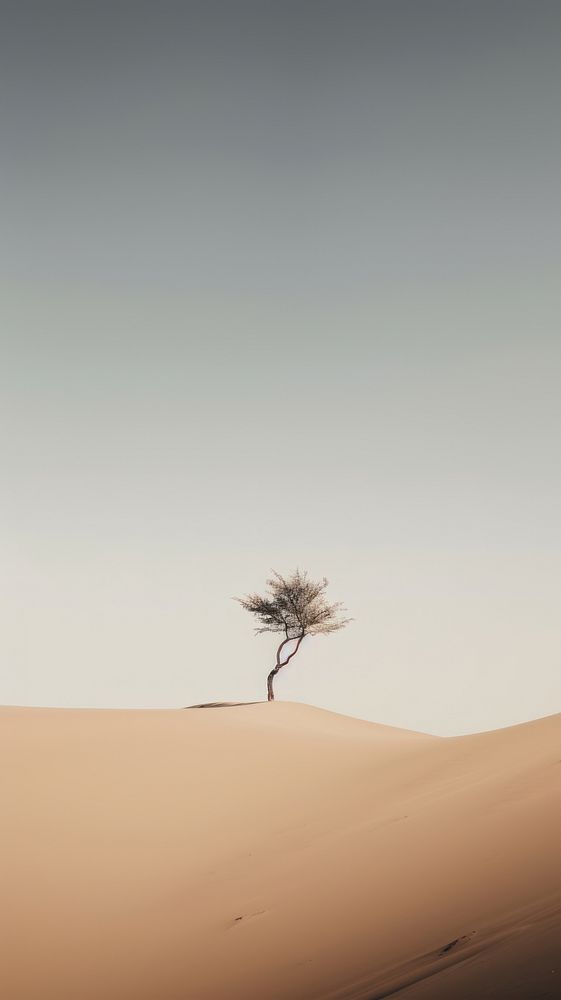  Dune tree outdoors horizon. AI generated Image by rawpixel.