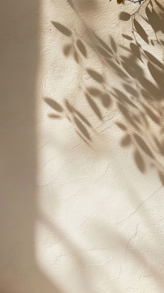 Aesthetic shadow wall photo nature | Premium Photo - rawpixel