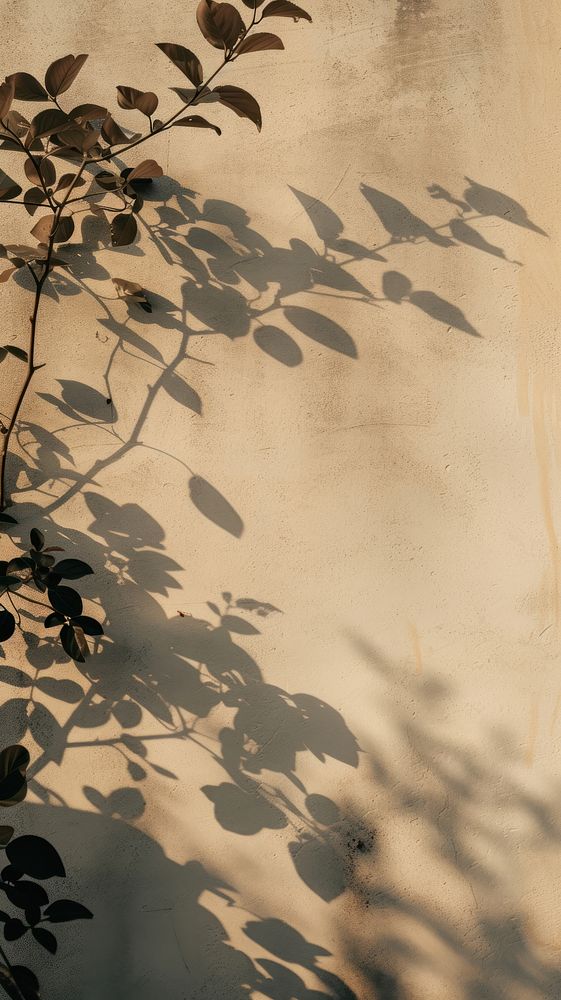 Aesthetic shadow on the wall photo architecture outdoors nature.