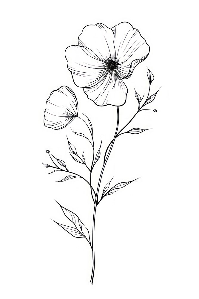 Line art hande with flower drawing sketch plant.