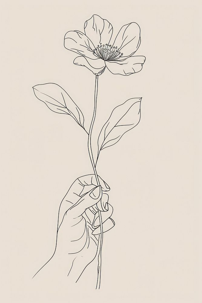 Line art hand holding drawing flower sketch.