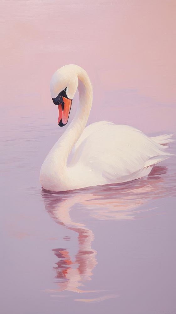 Minimal space cute swan animal bird reflection.
