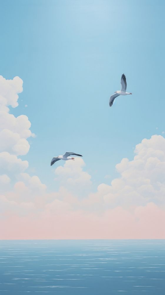 Minimal space sky seagull flying outdoors.