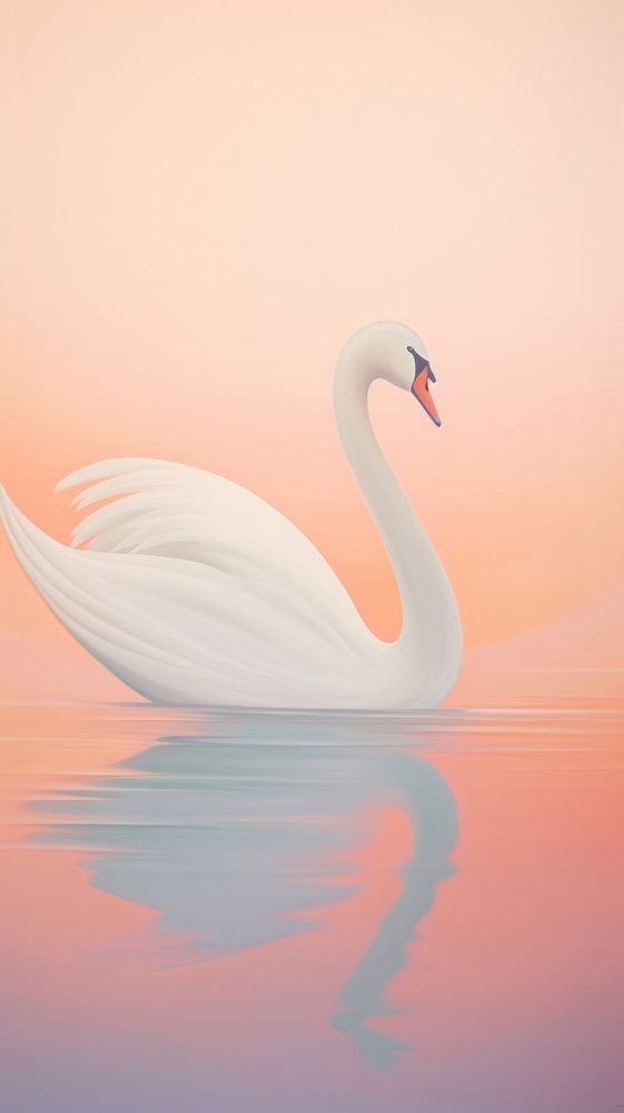Minimal space swan animal bird reflection.