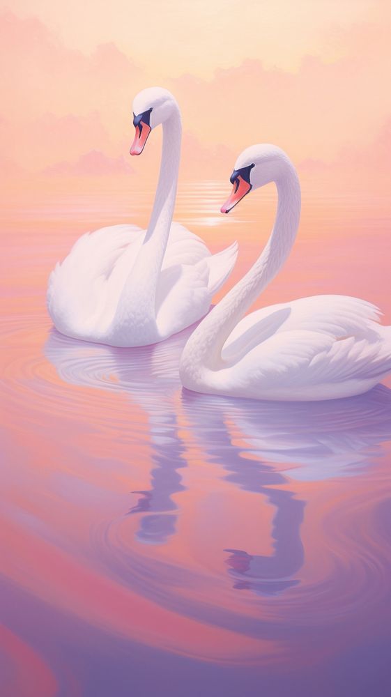 Minimal space swans animal bird reflection.