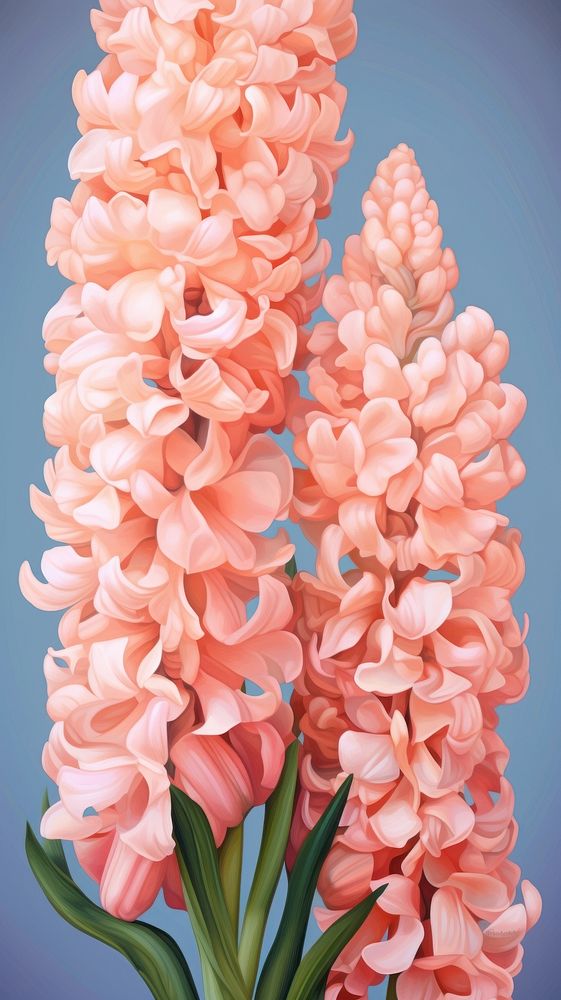  Hyacinth flower petal plant inflorescence. AI generated Image by rawpixel.