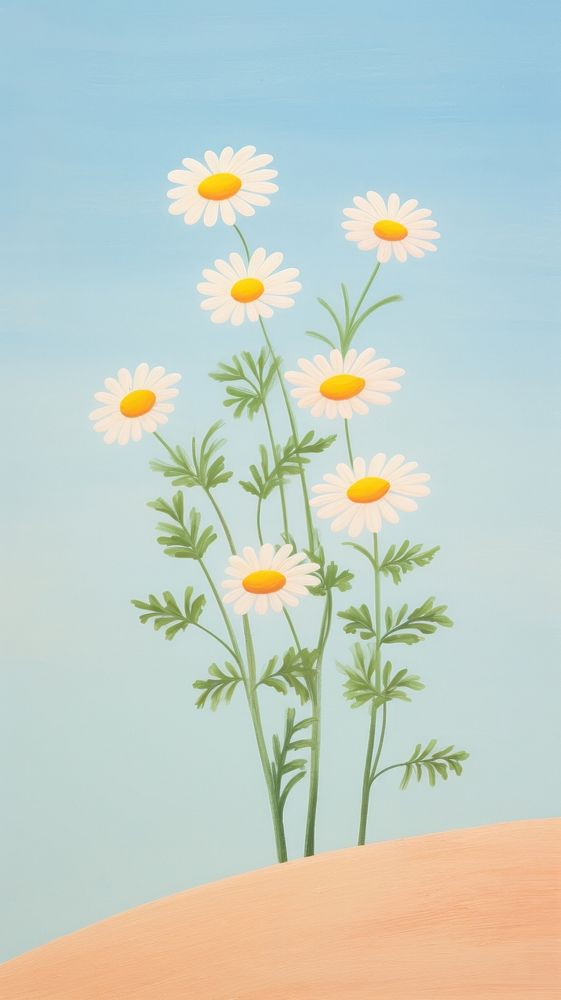  Flowers blooming outdoors plant daisy. AI generated Image by rawpixel.