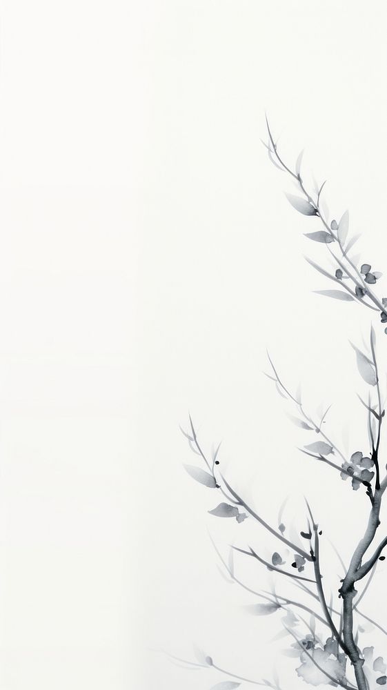 White backgrounds drawing branch.