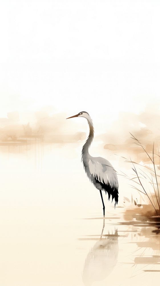 Crane in lake animal heron bird.