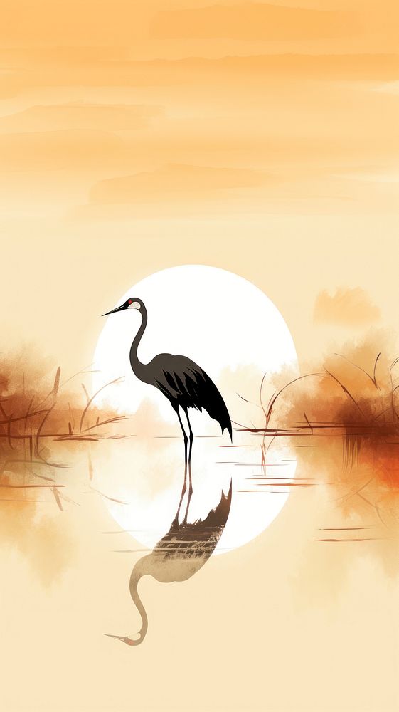 Crane in lake animal sunset bird.