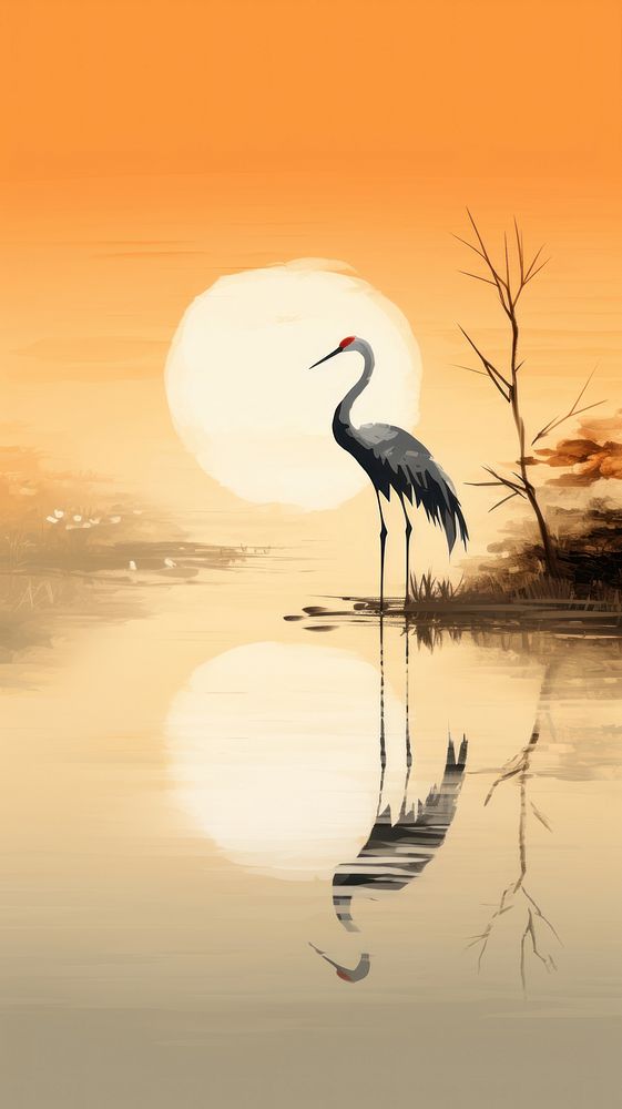 Crane in lake outdoors sunset animal.