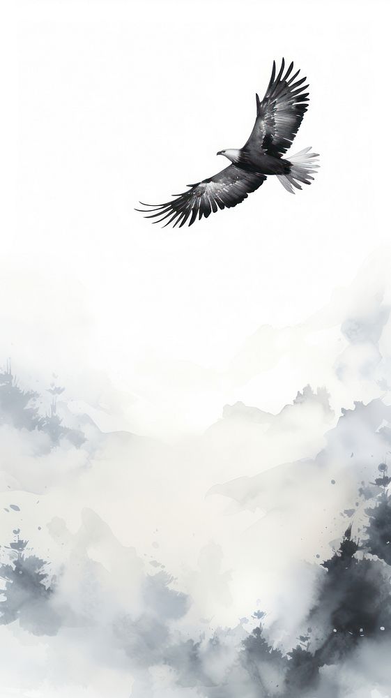 Flying eagle vulture condor animal.