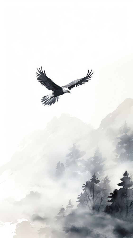 Flying eagle vulture animal bird.