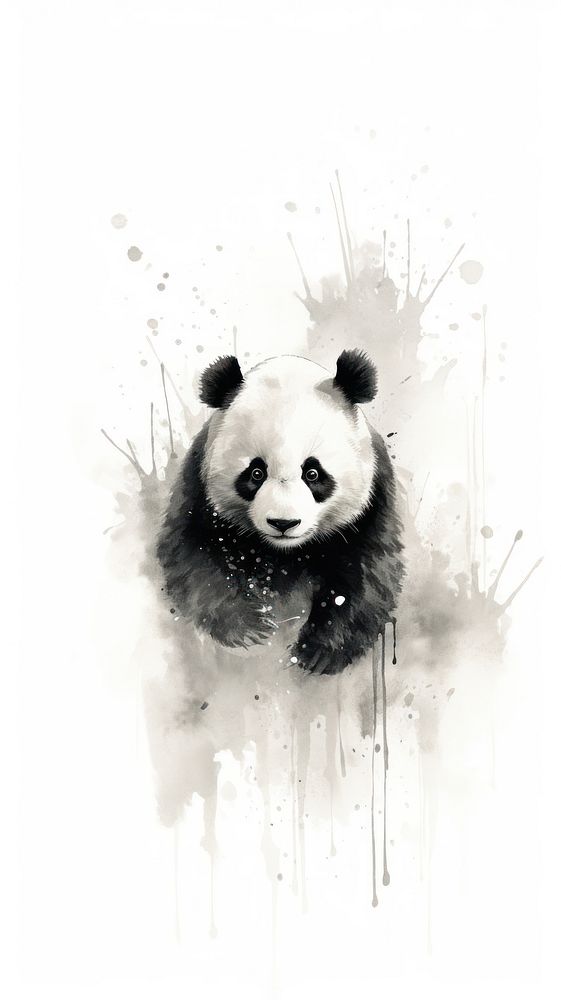 Wildlife animal mammal panda.