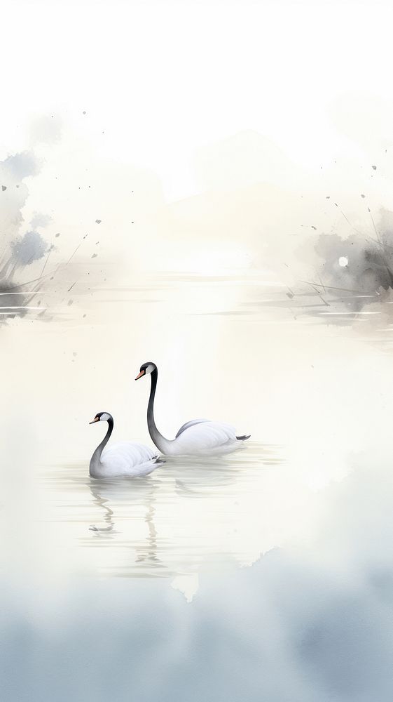 Bird swan animal lake.