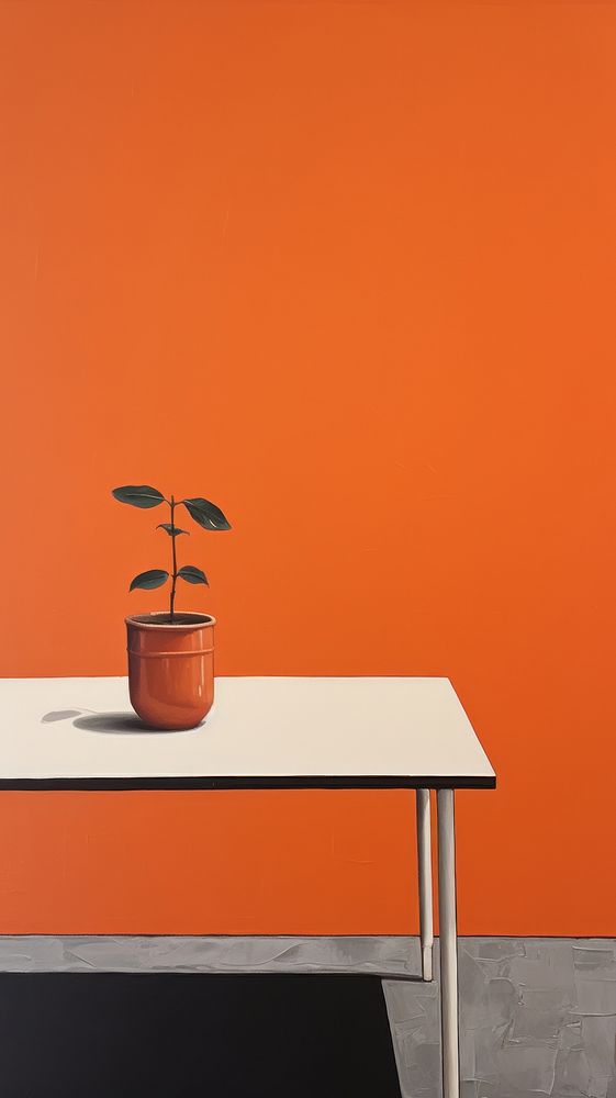 Orange on the table furniture plant architecture.