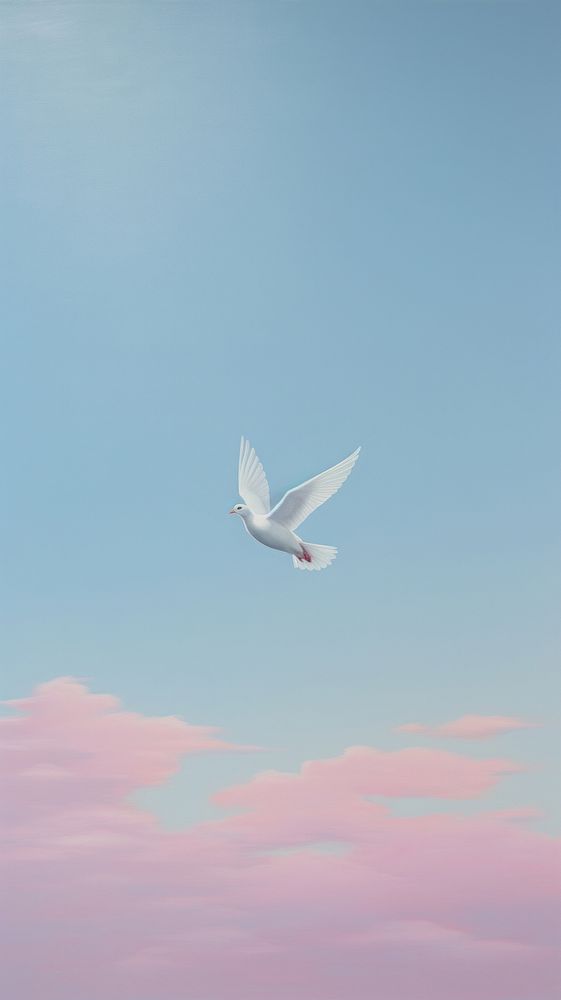 Flying bird dove airplane.