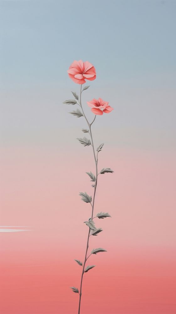Flower in the air and pastel sky outdoors nature plant.