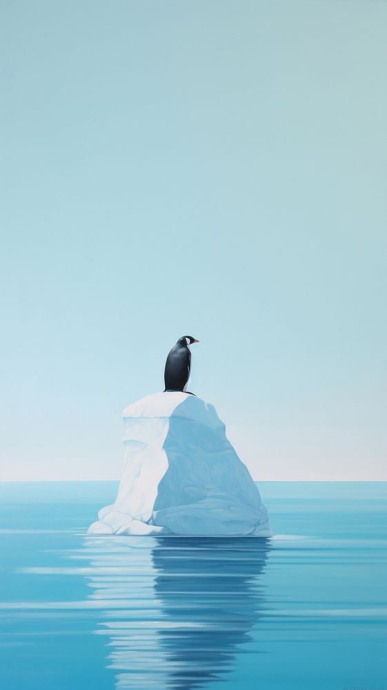 Penguin on iceberg outdoors nature bird.