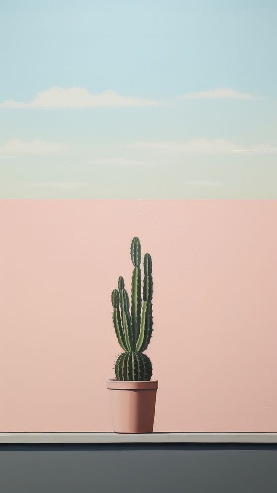 Potted cactus on the window with desert background plant tranquility houseplant.