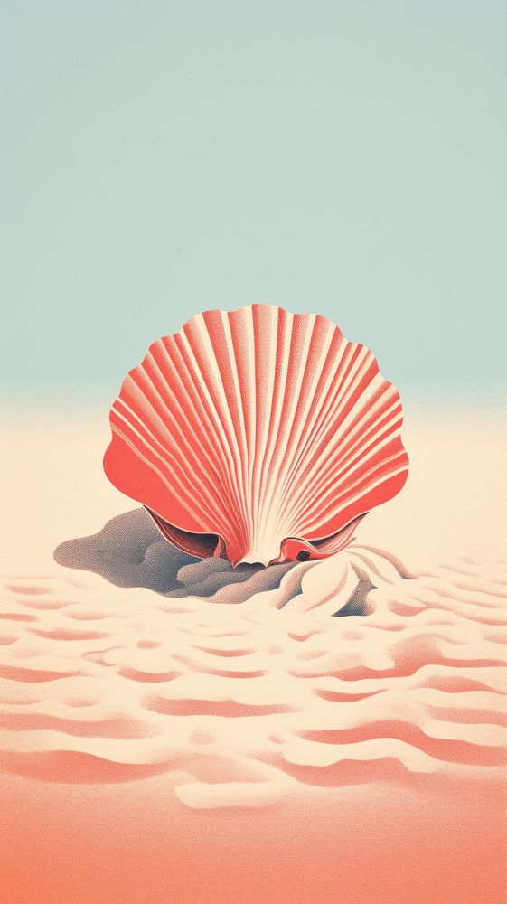 Seashells on the beach outdoors nature invertebrate. AI generated Image by rawpixel.