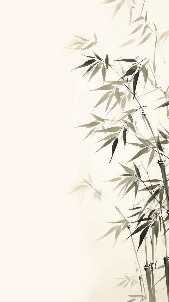 Bamboo backgrounds plant abstract.